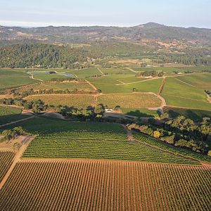 Sonoma Valley Vineyards 3
