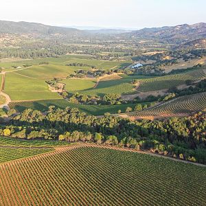 Sonoma Valley Vineyards 2