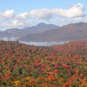 Adirondack Autumn: The forest in full bloom