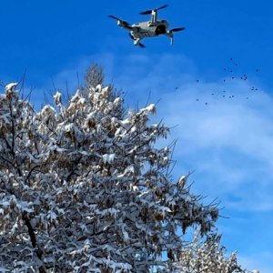 Wenatchee park drone 1 640x480.jpg