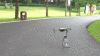 IMG_0055.GIF