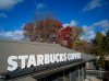 mavic starbucks-0007.JPG
