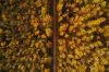 Mavic Images (1).jpg