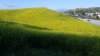 20170408_180320.jpg