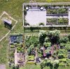 Stacys garden.JPG