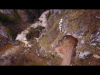 71D23943-9CC2-48A9-B644-E8E81D53E097.png