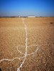 shingle street.jpg