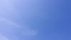 spot.jpg