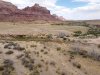DJI_0051.JPG