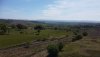 DJI_0126.JPG