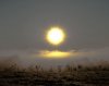 SunriseSFF.JPG
