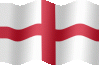 flag.gif