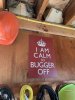 IMG_3029.jpeg