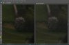 original raw vs jpg.jpg