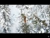 F12C2087-18E3-4945-81B5-C6402BA77979.jpeg