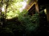 DJI_0062.jpg