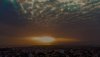 PSX_20200609_074858.jpg
