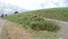 FHD0048.JPG