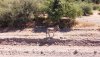 DJI_0422.JPG