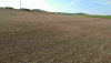 2020_04_04_17_51_58_1.gif