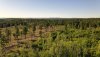 2-DJI_0723.JPG