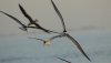 Image00002x.jpg