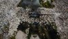 StreamHDR.jpg