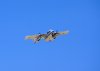 DSC02058p.jpg