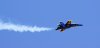 DSC04202p.jpg