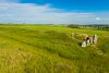 DJI_1095-HDR@0.33x.jpg
