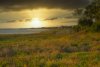 Hilton Head Sunset.jpg