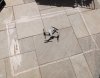 opening.jpg