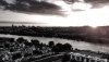 DJI_0603.jpg