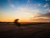 DJI_0674_2.jpg