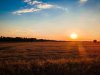 DJI_0649_1.jpg
