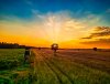 DJI_0689_1_1.jpg