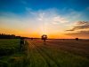 DJI_0689_1_1L2.jpeg