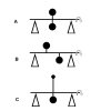 Dynamic-Static.jpg