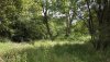 DJI_0184.JPG