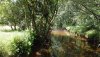 DJI_0190.JPG
