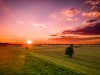 DJI_0709.jpg