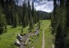 Mountain-Stream-Moosetracks Trail.jpg