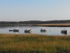 NCM_0063.JPG