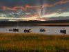 Boats at Hemmingway for practice  A.jpg