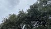 D9C59DDC-9637-4588-AD8B-887E70E4681E.jpeg