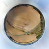 Tiny Planet Auto.jpeg