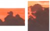c-t.jpg