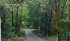 driveway.jpg