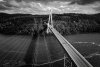 DJI_0871 B&W.jpg