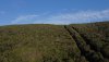 DJI_0201.JPG